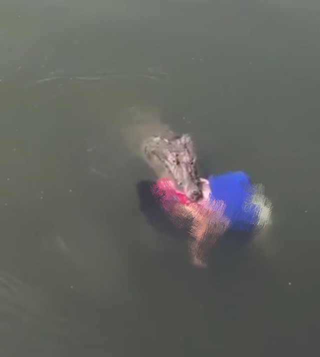Video Viral Buaya Mangsa Manusia Ternyata di Meksiko (272659)