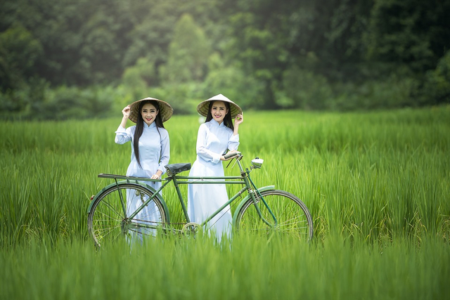 Berwisata ke area persawahan (Sumber: https://pixabay.com/id/photos/sepeda-wanita-hijau-topi-pedesaan-1822418/)