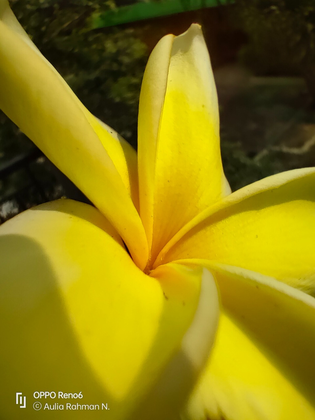 Review Oppo Reno 6: HP Rp 5 Jutaan Desain Cantik, Kamera Ciamik (60092)