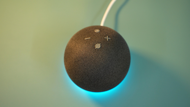 Perangkat Echo Dot 4th Gen. Foto: Shutterstock