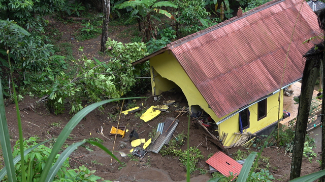 Pohon Tumbang Merusak 2 Rumah di Karangasem, Bali (987588)