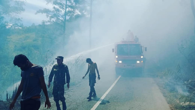 Diduga Sengaja Dibakar, 8 Hektare Hutan Pinus di Bener Meriah Hangus (461927)