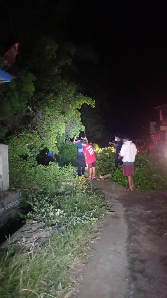 Pohon Tumbang hingga Klinik Rusak akibat Angin Puting Beliung di Bandar Lampung (1)