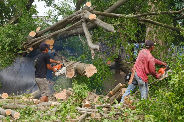 Puluhan Rumah di Bandar Lampung Rusak Akibat Angin Puting Beliung (1)