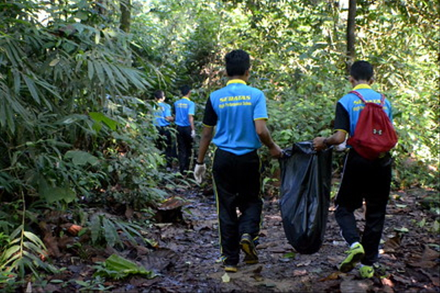 Kerja sama dalam membersihkan hutan. Foto: Foto