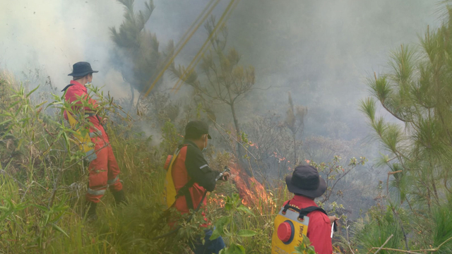 100 Hektar Kawasan Hutan Di Danau Toba Terbakar | Kumparan.com