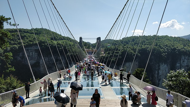 Di China Ada Bungee Jumping dari Jembatan Kaca Tertinggi di Dunia, Berani Coba? (295744)