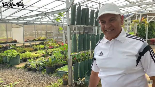 Melihat Kebun dan Sawah Organik di Rumah Mark Sungkar (95422)