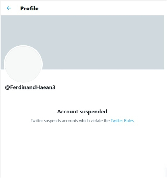 Akun Twitter Ferdinand Hutahaean tumbang pada Minggu (8/8) pagi. Foto: Twitter