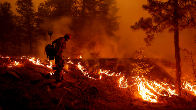 Petugas pemadam kebakaran menyalakan bumerang untuk memperlambat penyebaran kebakaran hutan di dekat kota Greenville, California, AS, (6/8). Foto: Fred Greaves/REUTERS