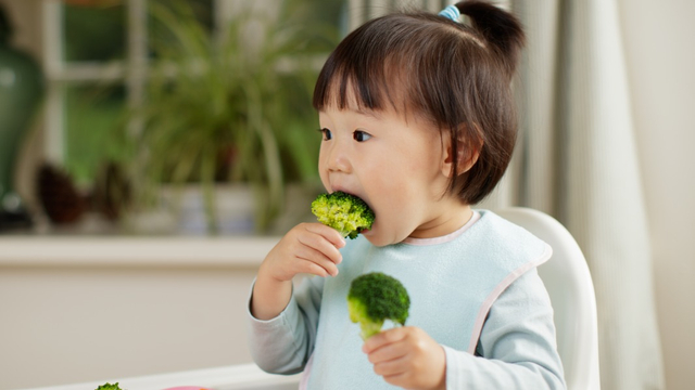 Tips supaya anak mau makan brokoli Foto: Shuttterstock