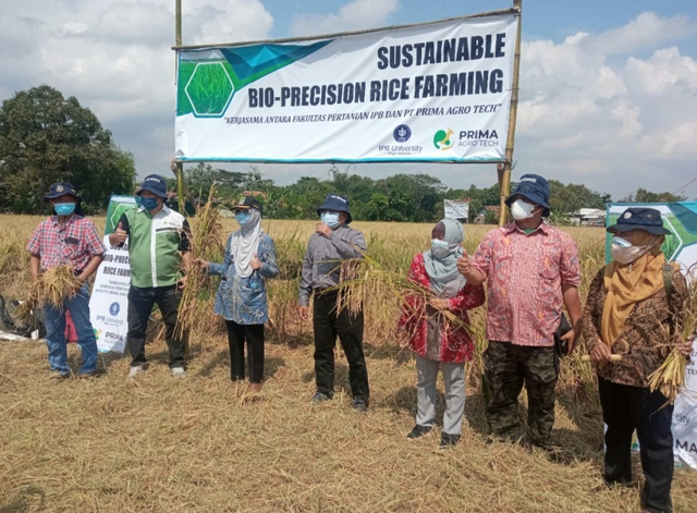 Panen Padi di Karawang, Faperta IPB University Tekankan Pertanian Biopresisi, Upaya Efisiensi Produksi dan Penyelamatan Ekologi