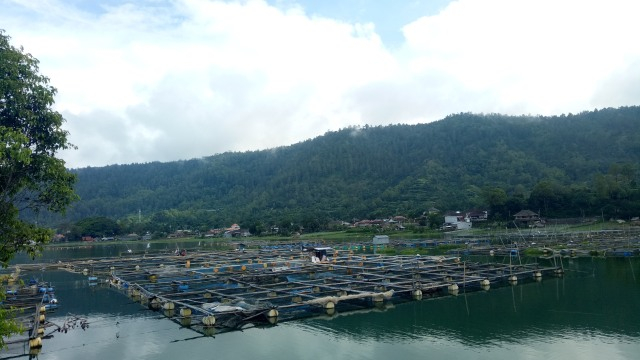Peternakan ikan dengan karamba apung kini banyak diusahakan di Danau Batur - LSU