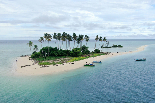 Ilustrasi Deskripsi Keadaan Muka Bumi Pulau Kalimantan Foto: Shutterstock