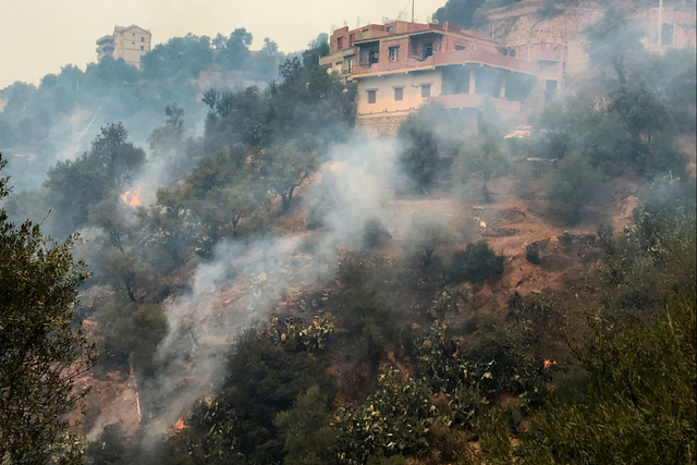 Kebakaran hutan di pegunungan provinsi Tizi Ouzou, Aljazair. Foto: Abdelaziz Boumzar/REUTERS