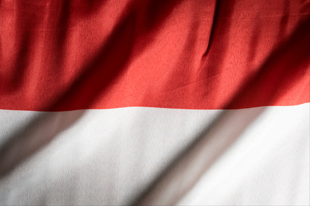 Bendera Indonesia Foto: Pixabay