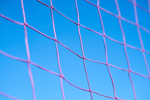 Ilustrasi tinggi net bola voli. (Pexels/Engin Akyurt)
