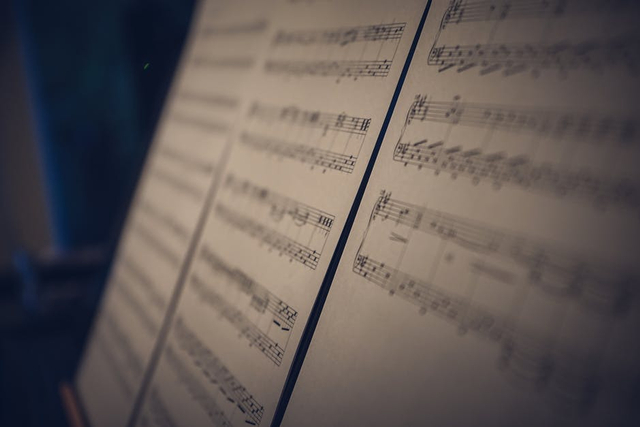 pexels.com - 10 contoh lagu bertangga nada minor