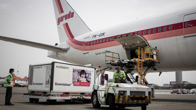 Petugas cargo menurunkan envirotainer berisi vaksin jadi COVID-19 Sinovac dari pesawat setibanya di Terminal Cargo Bandara Internasional Soekarno Hatta, Tangerang, Banten, Jumat (13/8/2021). Foto: Fauzan/ANTARA FOTO