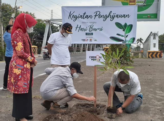 Penanaman pohon Tabebuya di Jalur Pantura ruas Pasar Mundu hingga Pengarengan Kabupaten Cirebon.(Juan)