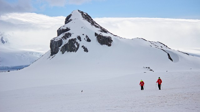 Salju di Antartika. Foto: DSD/Pexels