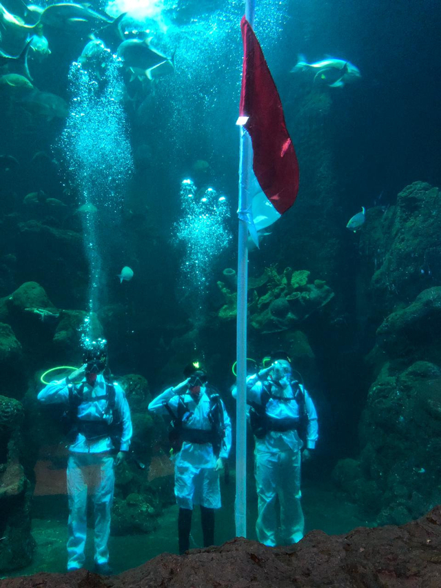 Ancol gelar upacara pengibaran bendera di bawah air dalam rangka HUT ke-76 RI Foto: Dok. Humas Ancol