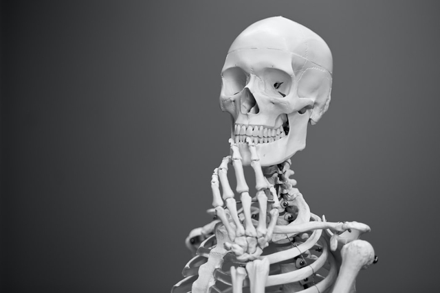 Ilustrasi tulang manusia. Sumber: Mathew Schwartz (unsplash).
