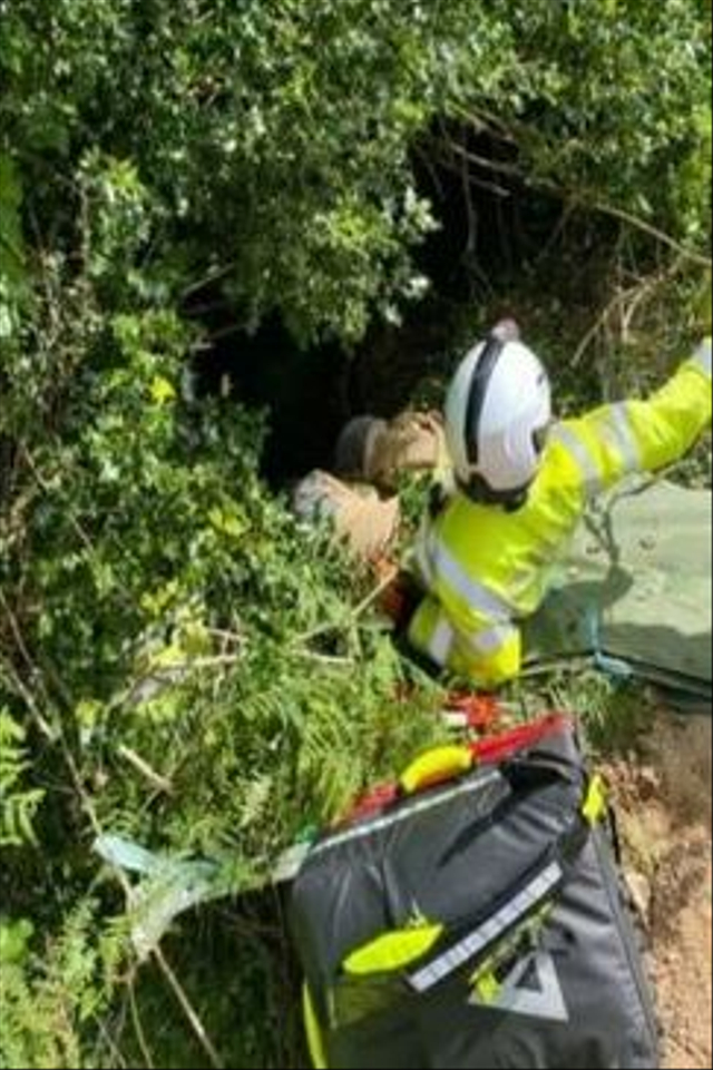 Petugas pemadam kebakaran Kota Bodmin, Cornwall, Inggris selamatkan nenek berusia 83 terperosok ke jurang usai dituntun oleh seekor kucing. (Foto: Facebook/@Lollywoodnow)