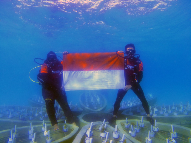 Pengibaran bendera merah putih di antara coral reef garden (CRG) di laut Kepulauan Anambas, Kepulauan Riau. Foto: LKKPN Pekanbaru.
