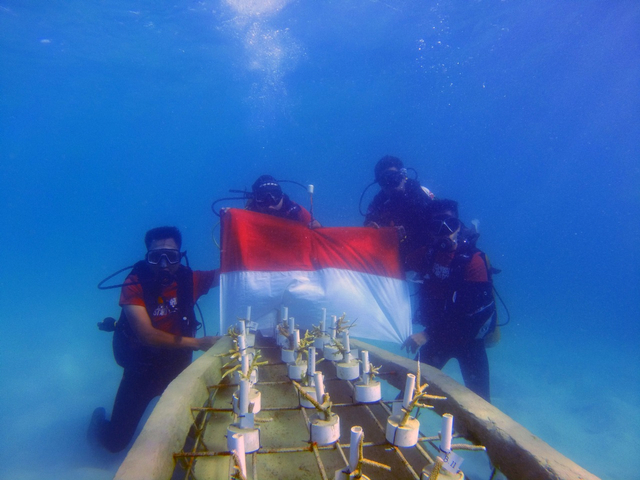 Foto: Aksi Menjaga Ekosistem Karang dan Kibarkan Merah Putih di Laut Anambas (286917)