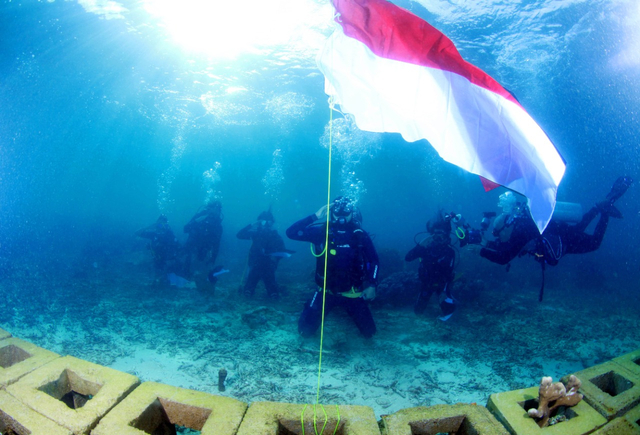 Peringati HUT RI, HARITA Nickel Tanam Terumbu Karang di Perairan Obi (105858)