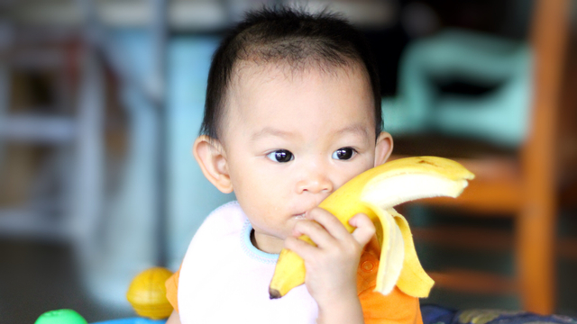 Ilustrasi bayi makan pisang. Foto: Shutter Stock