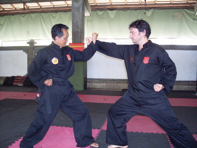 Tendangan dalam pencak silat. Sumber: flickr.com