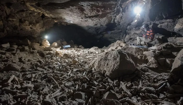 Lubang gua berisi ratusan ribu tulang hewan dan manusia ditemukan di Arab Saudi.  Foto: Stewart/AAS