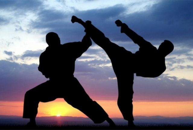  Tangkisan dalam Pencak Silat (Sumber: Pixabay)