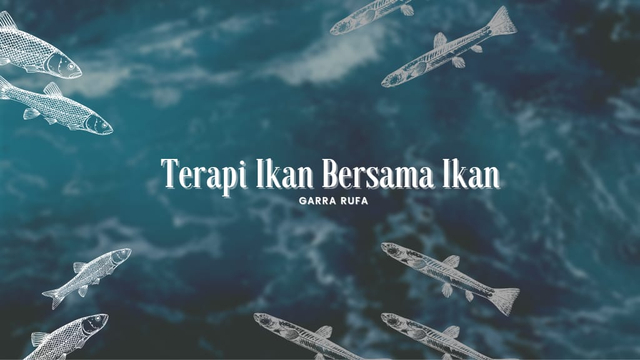 Terapi Ikan Bersama Ikan Garra Rufa , Sumber Gambar : zhaafirakharima in Canva.com