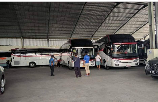 15 Bus Baru PO Primajasa. Foto: dok. Instagram Mayasari Bakti Group