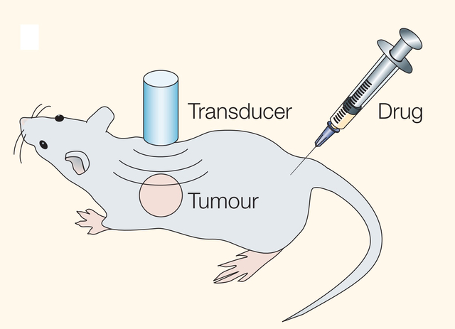 Bunyi Tak Terdengar Tapi Menyembuhkan: Ultrasonografi untuk Drug Delivery System (2)