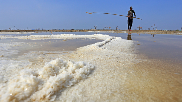 Ilustrasi petani garam. Foto: ANTARA FOTO/Dedhez Anggara