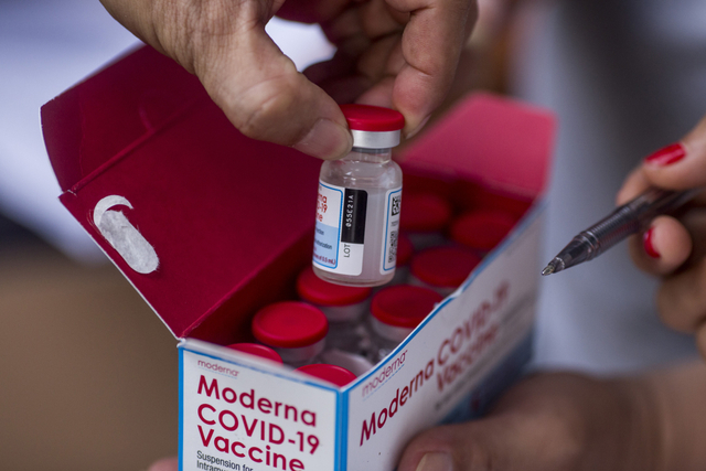 Petugas memperlihatkan vaksin Moderna Foto: ANTARA FOTO/Stenly