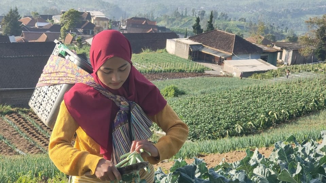 Noviana Listiyana, penyanyi dangdut di Boyolali yang beralih pekerjaan menjadi petani brokoli. (FOTO: Agung Santoso)