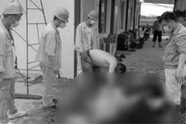 Buaya Dijadikan Sop oleh TKA China, BKSDA: Pelaku Terancam 5 Tahun Penjara (191959)