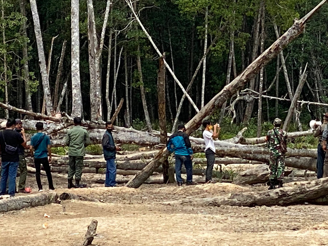 Foto: Hutan Mangrove di Bangka Barat Rusak Akibat Tambang Timah Ilegal (43958)