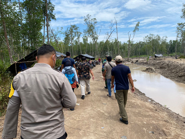 Foto: Hutan Mangrove di Bangka Barat Rusak Akibat Tambang Timah Ilegal (43960)