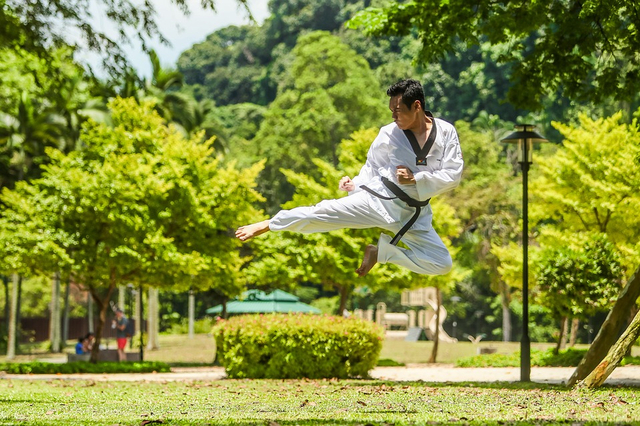 Ilustrasi gerakan pencak silat yang dilakukan seseorang. Foto: Pixabay