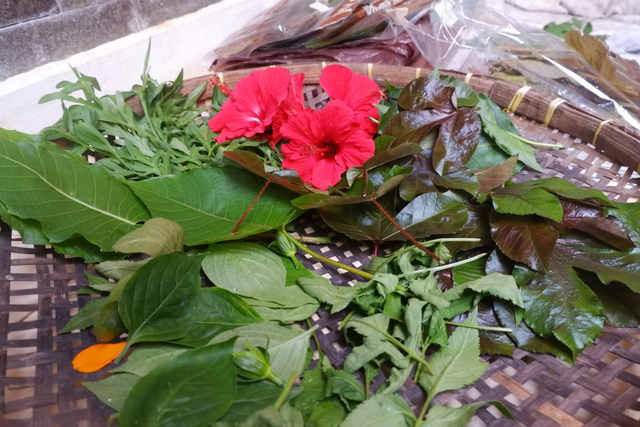 Intip Proses Lahirnya Kain Cantik dari Daun Asli di Kahut Sigerbori Lampung (5)