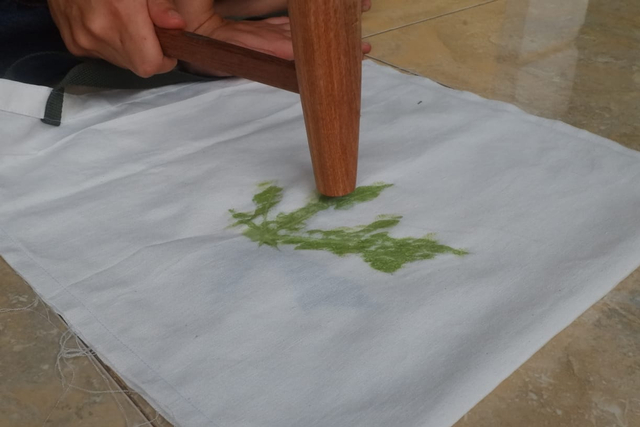 Intip Proses Lahirnya Kain Cantik dari Daun Asli di Kahut Sigerbori Lampung (8)