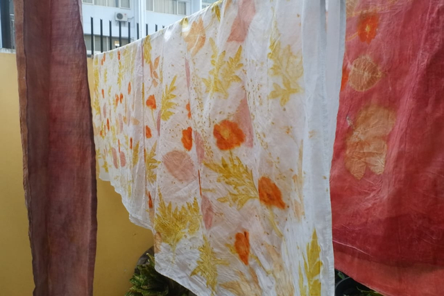 Intip Proses Lahirnya Kain Cantik dari Daun Asli di Kahut Sigerbori Lampung (12)