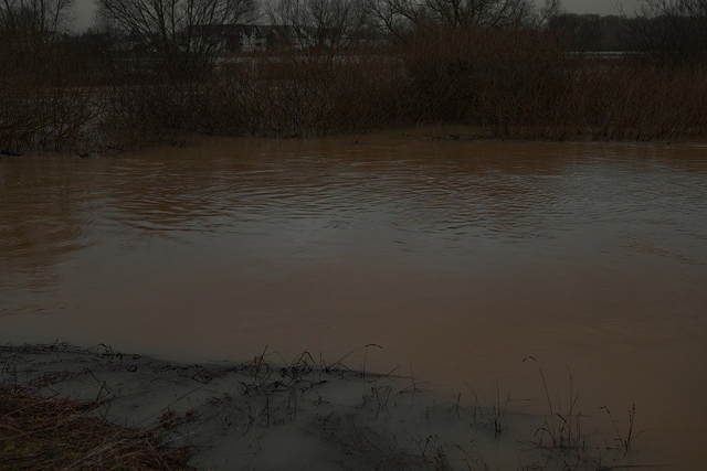 Mengapa Sungai Bisa Menjadi Kotor? Berikut Jawabannya (2)
