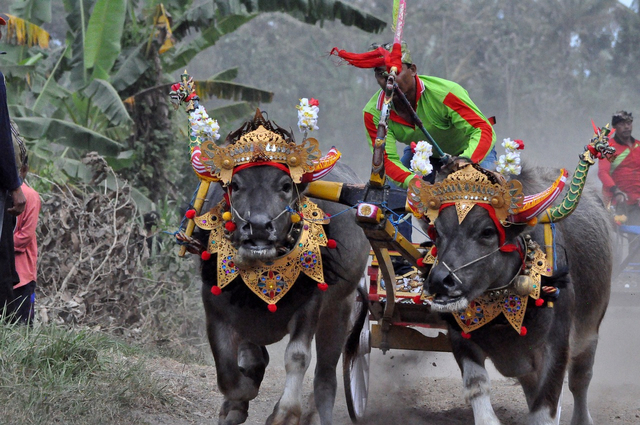 Kesenian tradisional Madura menjadi salah satu kebanggaan dari kebudayaan Indonesia. Foto: Pixabay